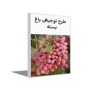 طرح توجیهی احداث باغ پسته (زمستان 1400) + word و pdf