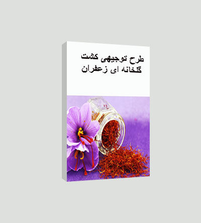 طرح توجیهی کاشت و پرورش زعفران گلخانه ای (سال98)+آموزش رایگان
