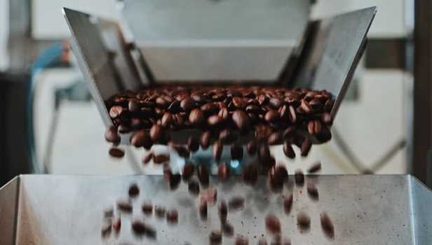 طرح توجیهی تولید، بسته بندی و فراوری قهوه