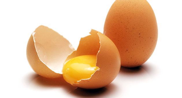 تصویر آشنایی با تولید تخم مرغ نطفه دار با بازدهی عالی