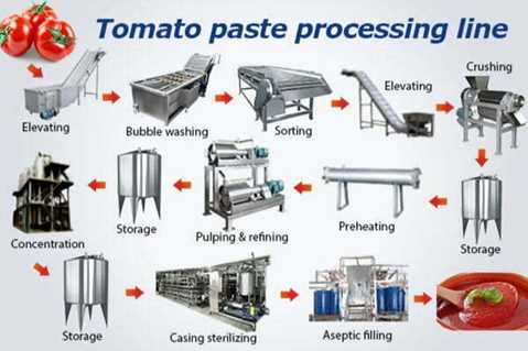 شرح فرآیند تولید رب گوجه فرنگی در کارخانه