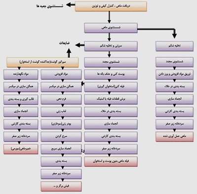 شماتیک عمل اوری ماهی و تولید فراورده ها